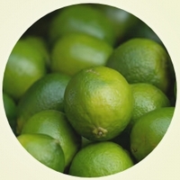 Lima: Citrus Aurantifolia