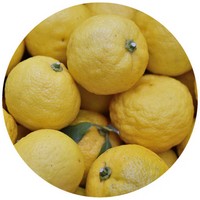 Yuzu: Citrus Ichangensis