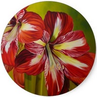 Amaryllis
