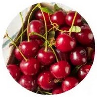 Tart Cherry - Prunus Cerasus