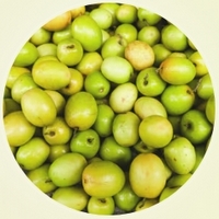 Ziziphus Mauritiana - Jujube