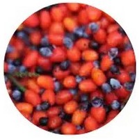 Koroi - Pometia Pinnata