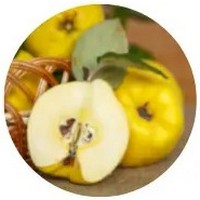 Membrillo: Cydonia Oblonga