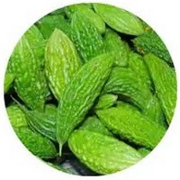 Momordica Charantia