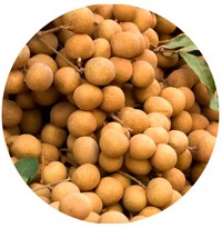 Pitomba: Talisia Esculenta