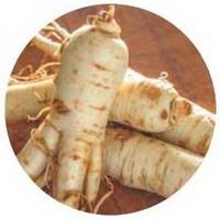 Raiz de Ginseng