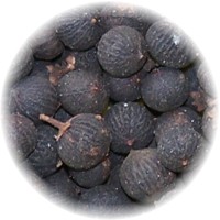 Vidanga - Embelia Ribes  