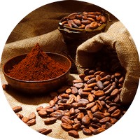 Chocolate: Theobroma Cacao