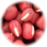 Vigna Angularis - Red Adzuki Bean